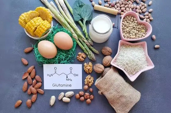 Glutamine : bienfaits, utilisations et précautions