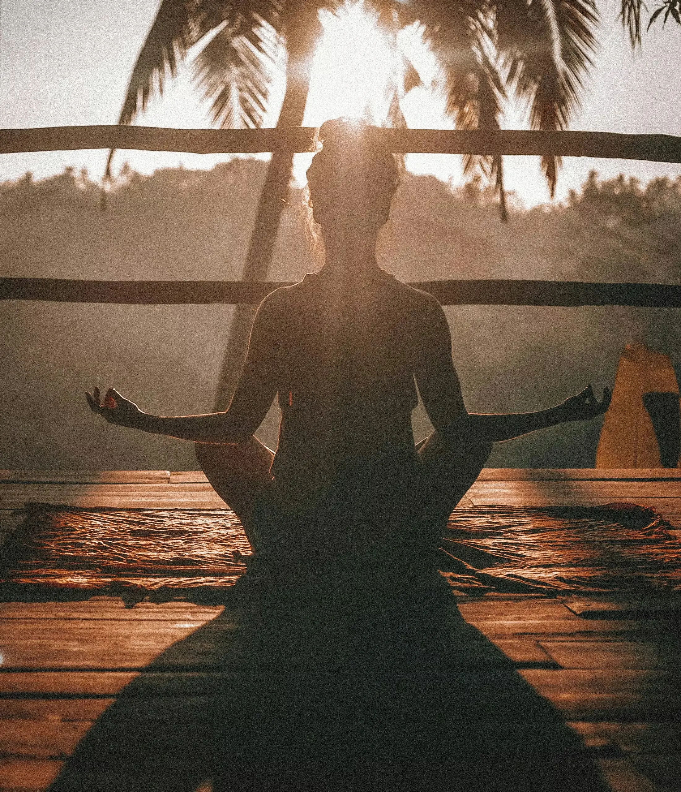 Programme Emotional Reset